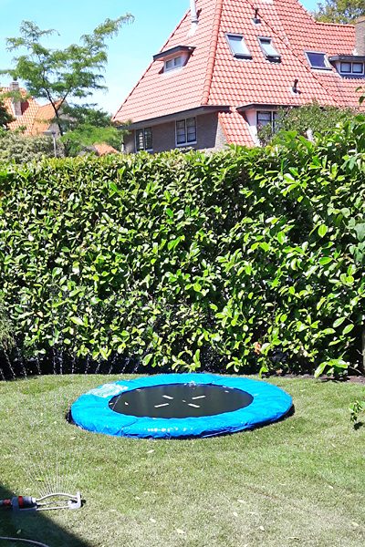 Verdiepte trampoline in het gazon met sproeier en een hoge laurierhaag
